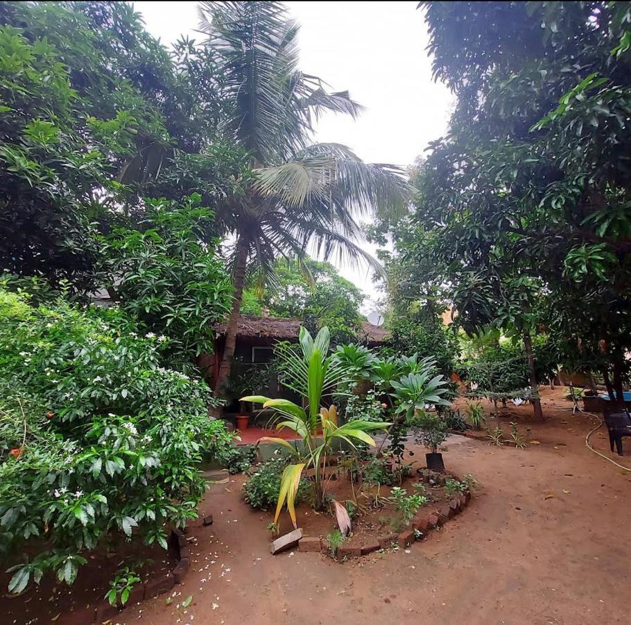 Lotus Riya Home Stay Hampi Exterior foto
